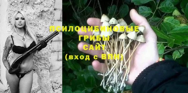 МДМА Горняк