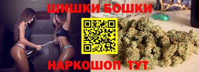 шишки Изобильный
