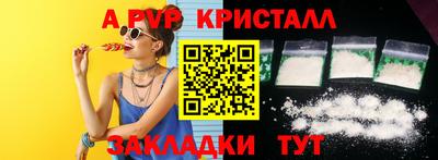 шишки Изобильный