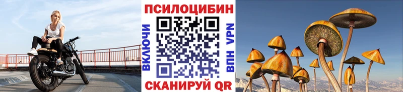 где купить Реж Галлюциногенные грибы Cubensis