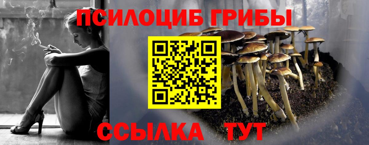 Галлюциногенные грибы Psilocybe Реж